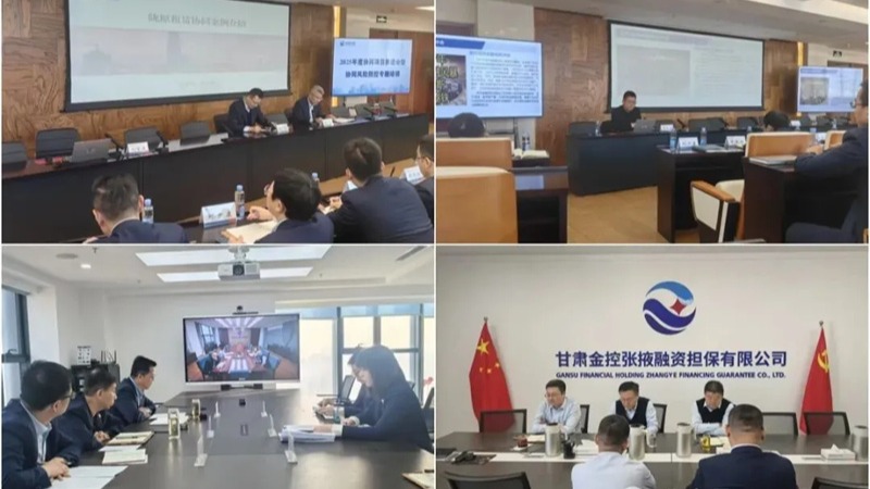  九州官方网页版-九州（中国）
举办2025年度协同项目推进会暨协同风险防控专题培训